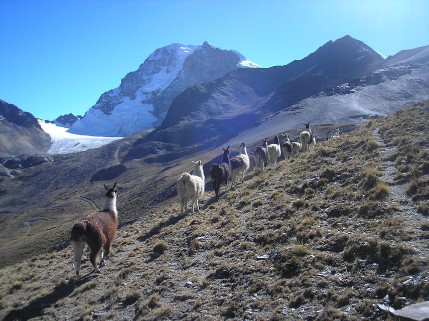 From La Paz: Condoriri Andes, Pico Austria Full Day Hiking - The return journey and the timing question