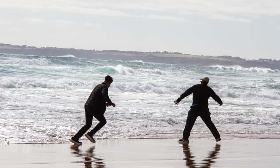 From Melbourne: Penguin Parade Afternoon Tour - Who should book this Phillip Island tour