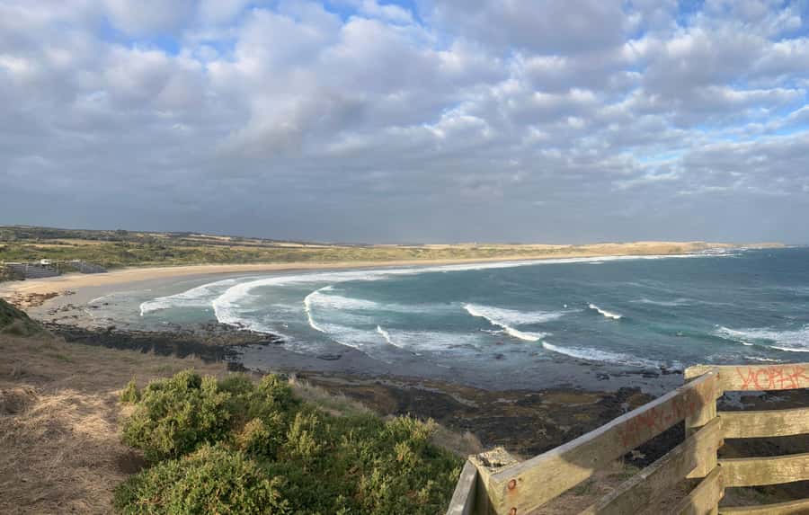 From Melbourne: Phillip Is Penguin Parade & Koala Reserve - Timing changes with the season