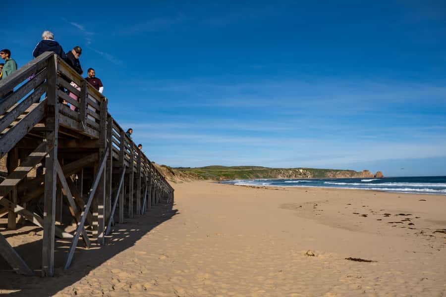 From Melbourne: Phillip Island and Penguin Parade Day Tour - Transport, food, and the long return to Melbourne