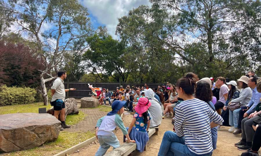 From Melbourne: Phillip Island Penguin Parade Eco Tour - What the coach ride is really like