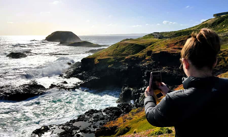 From Melbourne: Phillip Island Penguin Parade Eco Tour - Is $109 good value?