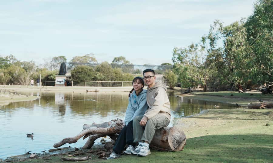 From Melbourne: Phillip Island Penguin Parade Eco Tour - Should you book it?