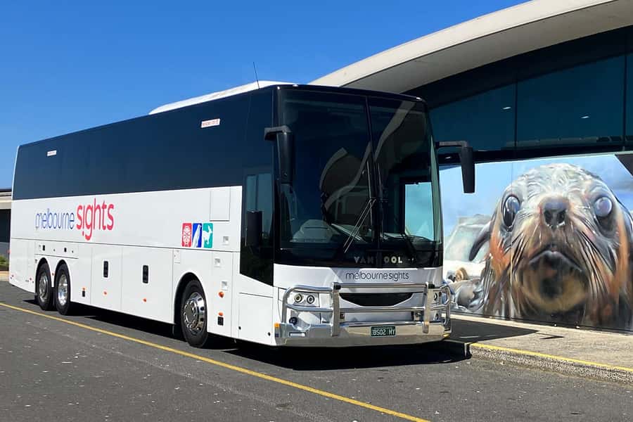 From Melbourne: Phillip Island Penguin Parade Express Tour - Waiting for the little penguins