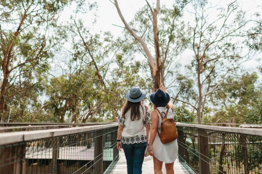 From Melbourne: Phillip Island Penguin Parade & Koalas Tour - Who should book this day trip?