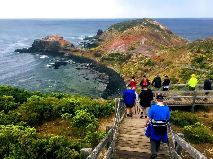 From Melbourne: Phillip Island Penguin Parade Private Tour - Why the Penguin Parade is worth the long ride