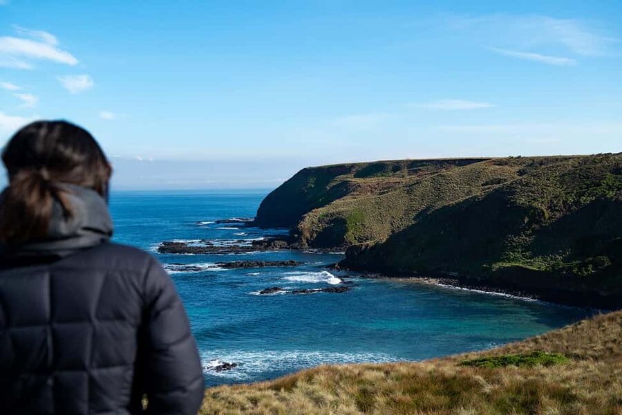From Melbourne: Phillip Island Penguin Plus - Grandstand - San Remo and the crossing to Phillip Island