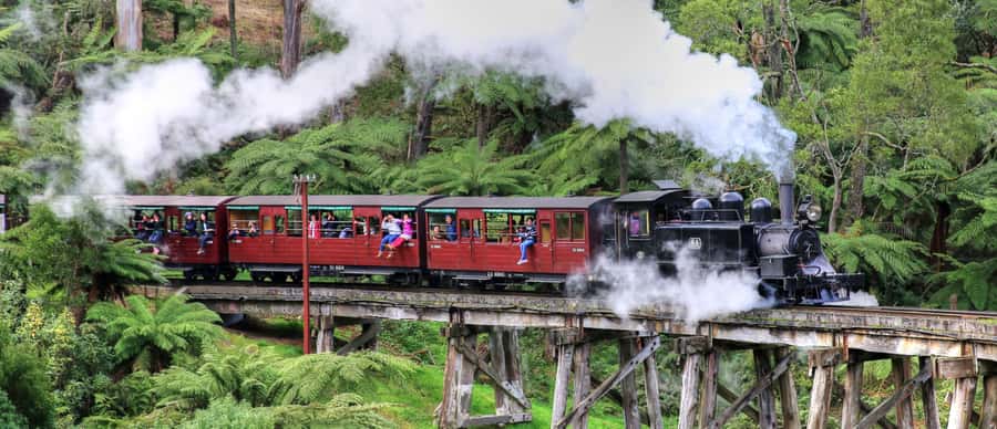 From Melbourne: Puffing Billy and Penguin Parade Combo Tour - Why this Melbourne day trip works