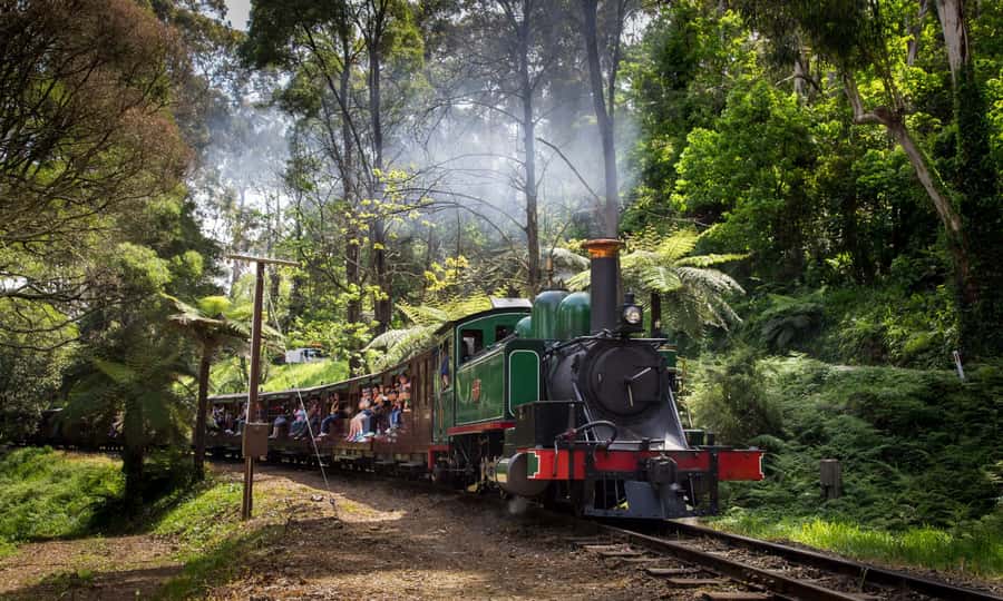 From Melbourne: Puffing Billy & Penguins Combo Tour Package - The Nobbies boardwalk and southern coast