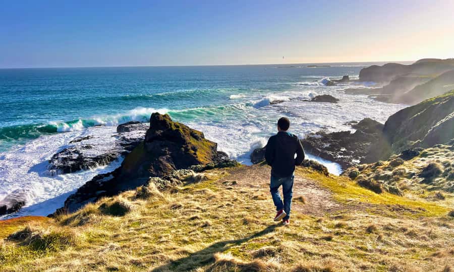 From Melbourne: Puffing Billy & Penguins Combo Tour Package - The Penguin Parade after sunset