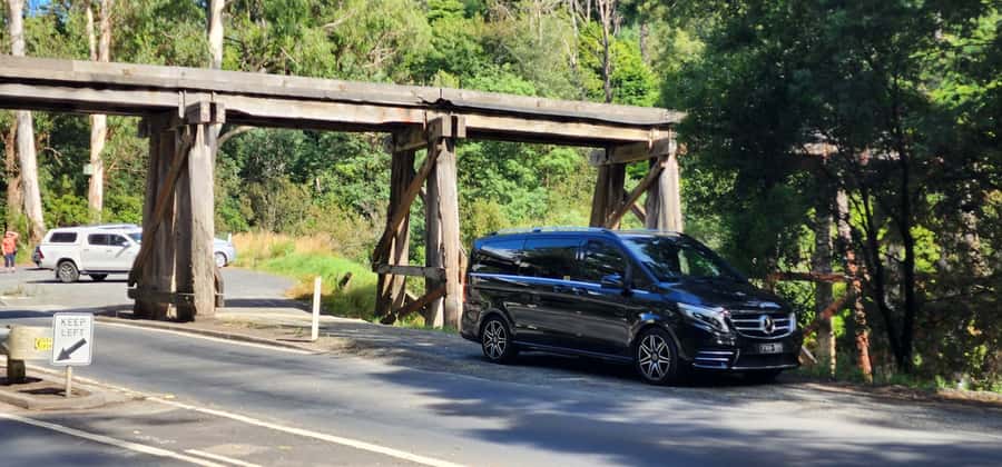From Melbourne: Puffing Billy Private Tour - Up to 11 pax - Three hours among the Dandenong Ranges