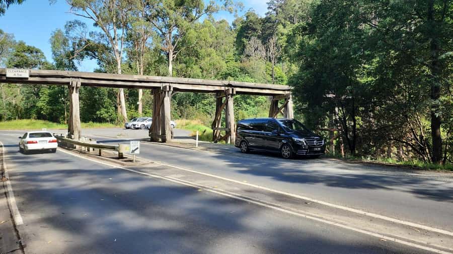 From Melbourne: Puffing Billy Private Tour - Up to 11 pax - Should you book the Puffing Billy private tour?