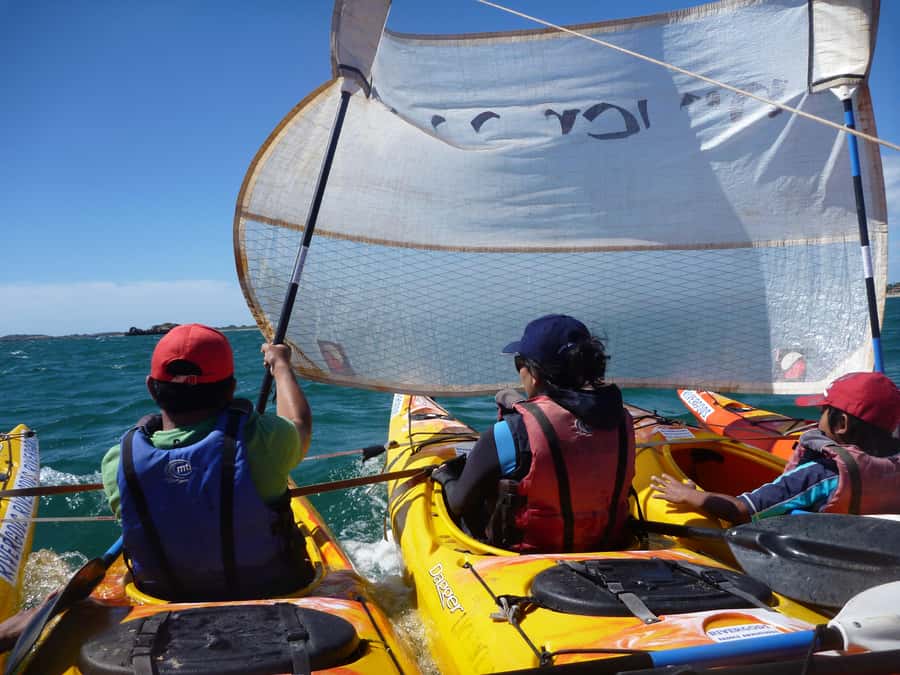 From Perth: Rockingham Seal & Penguin Islands Sea Kayak Tour - What the $140 price covers