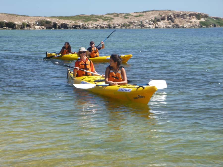 From Perth: Rockingham Seal & Penguin Islands Sea Kayak Tour - Getting the morning timing right