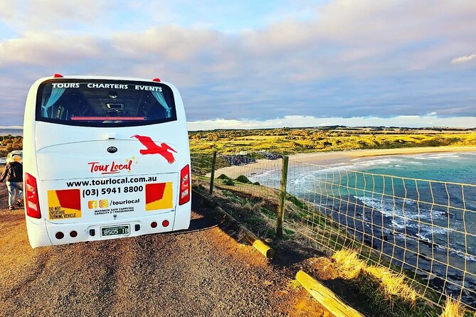 From Phillip Island: Wine and Wildlife Tour with Penguin Parade - Key points to know before booking