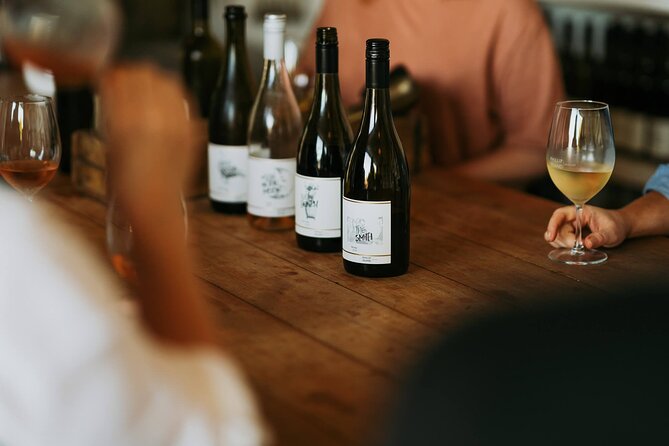From Phillip Island: Wine and Wildlife Tour with Penguin Parade - Golden-hour views at The Nobbies