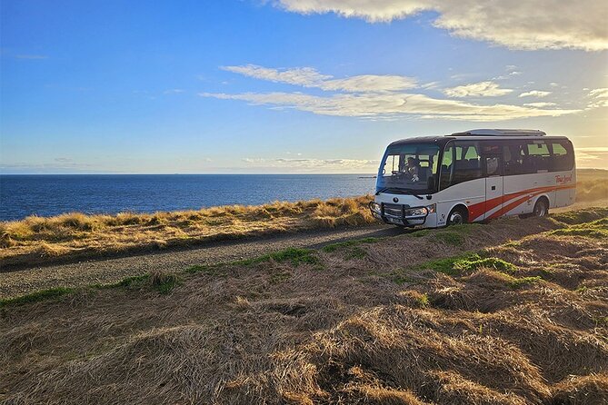 From Phillip Island: Wine and Wildlife Tour with Penguin Parade - Transport, comfort, and group style