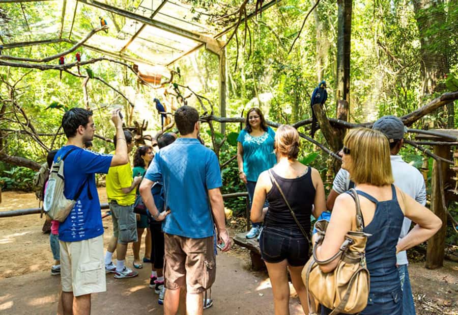 From Puerto Iguazú: Brazilian Bird Park Tour with Tickets - What you get with backstage access