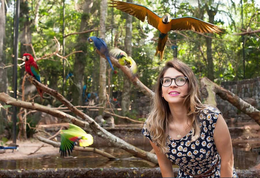 From Puerto Iguazú: Brazilian Bird Park Tour with Tickets - Timing your visit around crowds