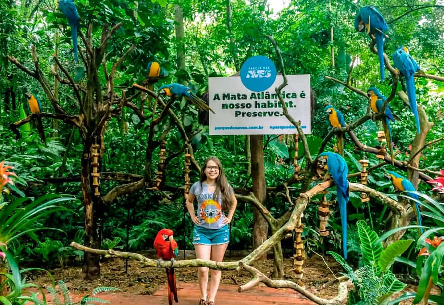 From Puerto Iguazú: Brazilian Bird Park Tour with Tickets - How the $133 price holds up