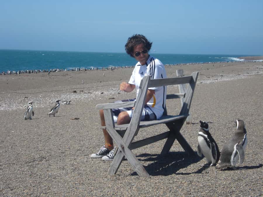 From Puerto Madryn: Penguin Tour & Península Valdés Day Trip - Key points at a glance