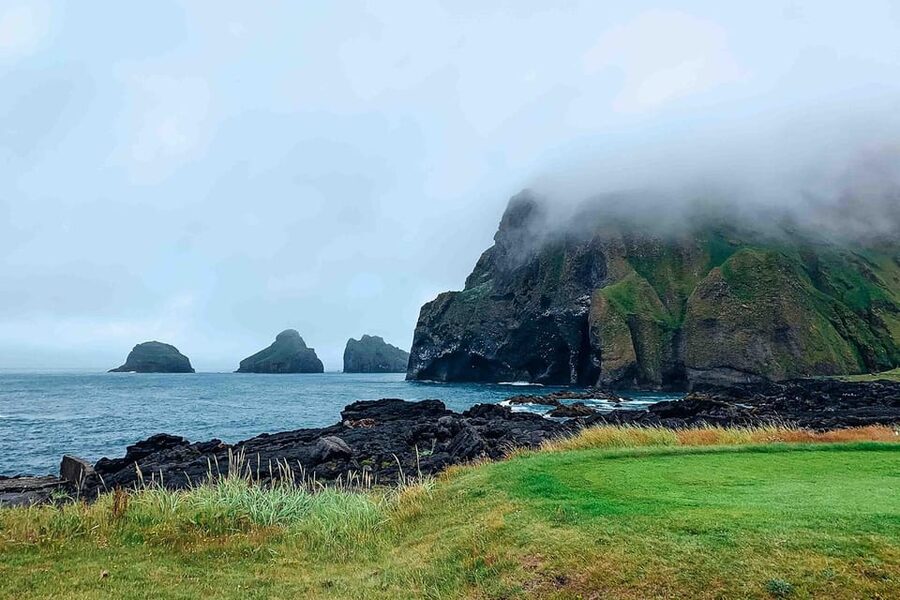 From Reykjavik: Puffin and Volcano Tour in Westman Islands - Is $272 a fair price?