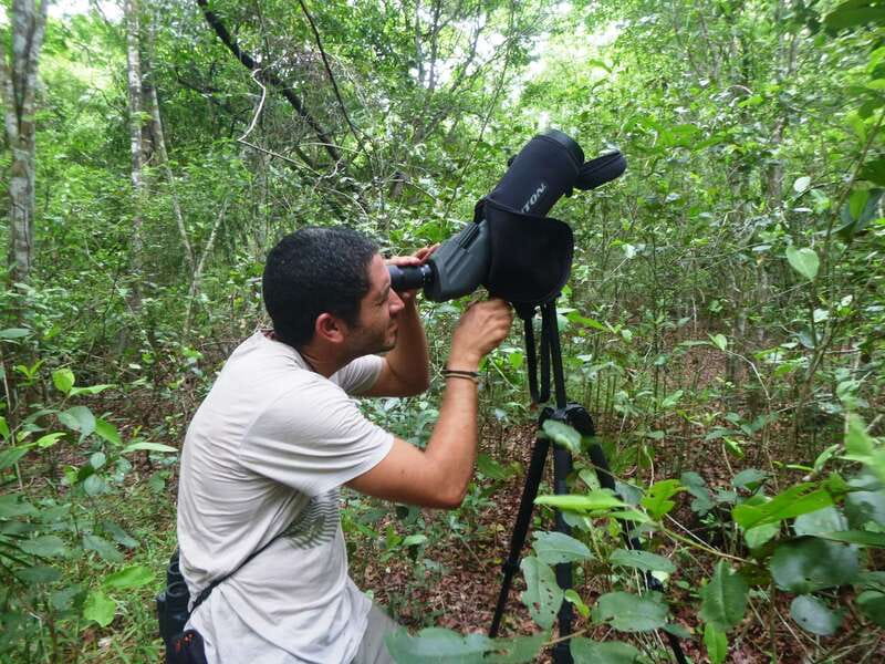 From Riviera Maya : Sian Ka'an Muyil Birdwatching with Guide - A morning built around bird calls
