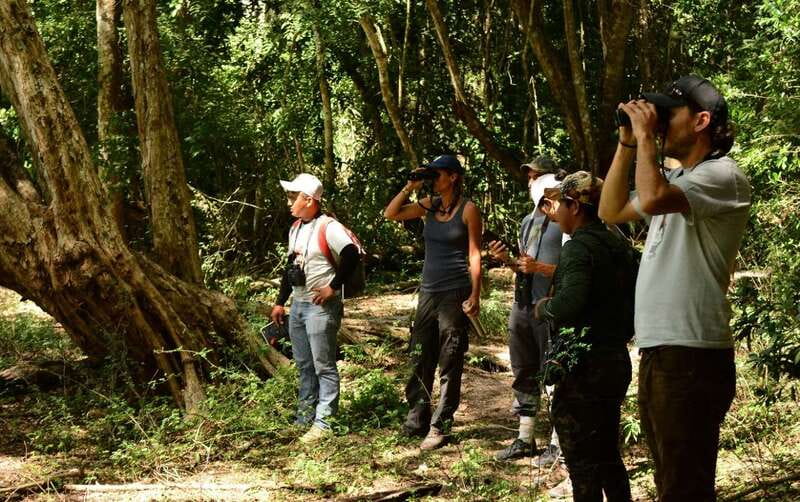 From Riviera Maya : Sian Ka'an Muyil Birdwatching with Guide - The Muyil ruins and the boardwalk to the lagoon