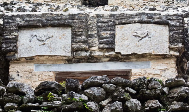 From Riviera Maya : Sian Ka'an Muyil Birdwatching with Guide - Who will enjoy this tour most