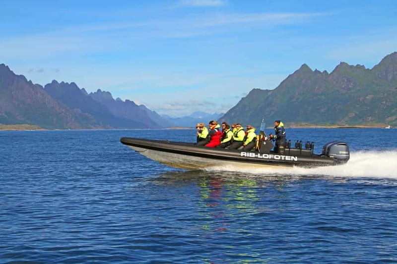 From Svolvær: Lofoten RIB Sea Eagle Safari Trollfjord Cruise - Key points to know before you book