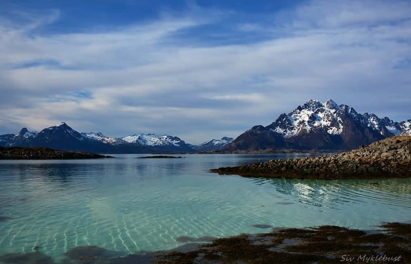 From Svolvær: Lofoten RIB Sea Eagle Safari Trollfjord Cruise - Who will get the most from this safari