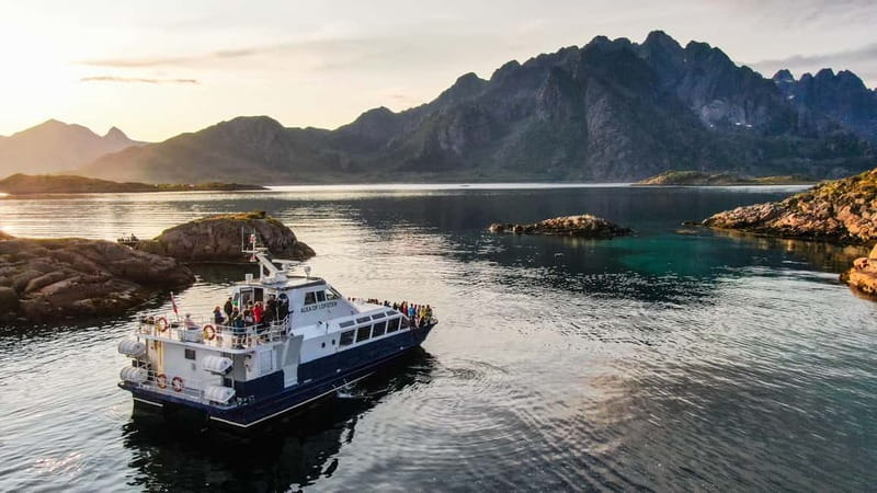From Svolvær: Lofoten Trollfjord Cruise & Sea Eagle Safari - Cruising through the Lofoten Islands