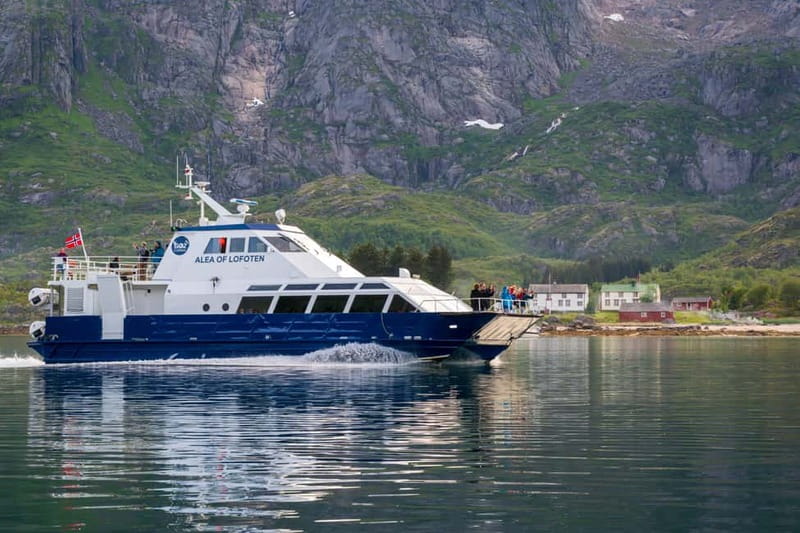 From Svolvær: Lofoten Trollfjord Cruise & Sea Eagle Safari - Is $135 a fair price?