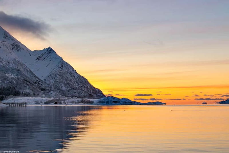 From Svolvær: RIB Boat Lofoten Trollfjord Sea Eagle Safari - Viking places, beaches, waterfalls, and extra wildlife