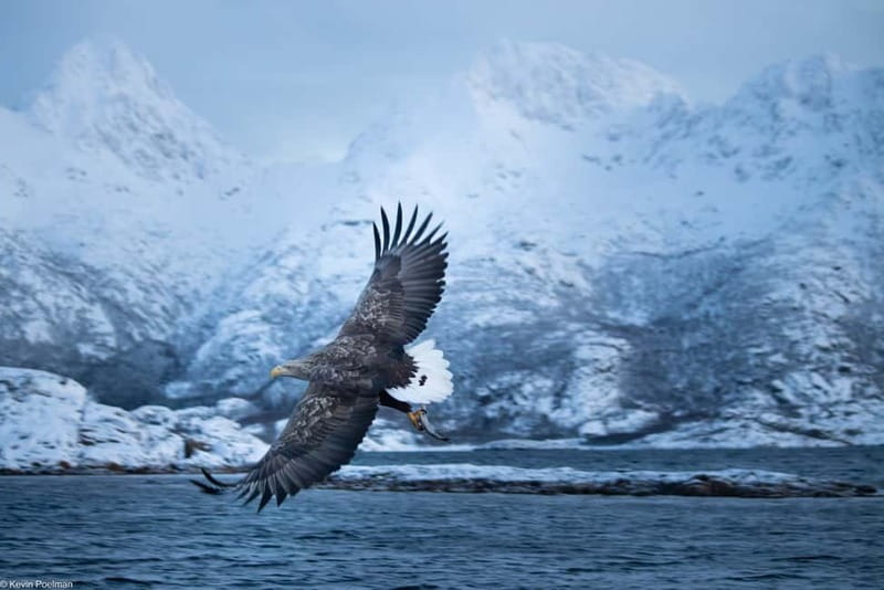From Svolvær: RIB Boat Lofoten Trollfjord Sea Eagle Safari - What the supplied clothing really means