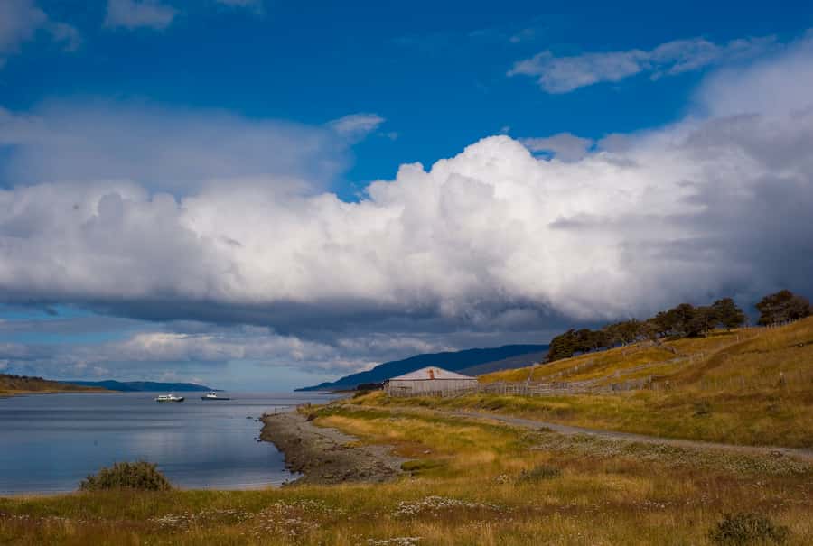 From Ushuaia: Penguin Watching Tour by Catamaran - Cormorant islands and the route to Les Eclaireurs Lighthouse