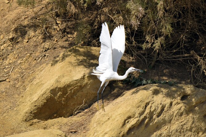 Full-Day Bird Watching Private Experience at Fayoum - Cancellation and final booking checks