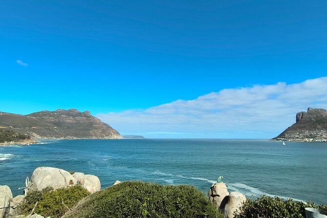 Full Day Cape of Good Hope and Boulders Beach Penguins Tour - A Cape Peninsula day with a little of everything