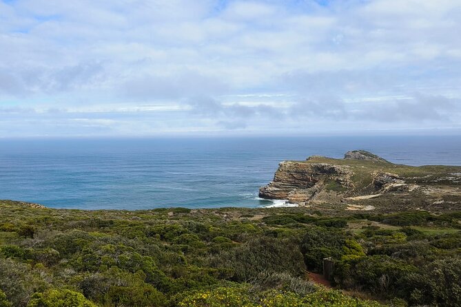 Full Day Cape of Good Hope and Boulders Beach Penguins Tour - Cape Point Ostrich Farm adds an unexpected animal stop