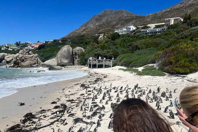 Full-Day Cape of Good Hope and Table Mountain with Penguins Tour - The Cape of Good Hope sign and the famous queue