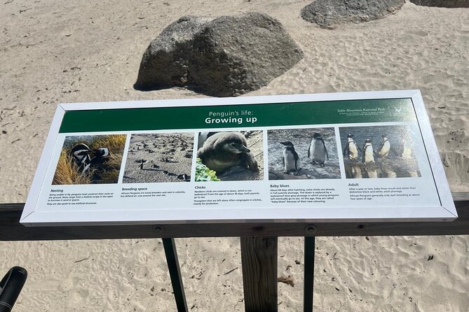 Full-Day Cape of Good Hope and Table Mountain with Penguins Tour - What the $100 price really includes