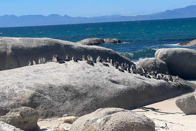 Full-Day Cape of Good Hope and Table Mountain with Penguins Tour - Table Mountain: the tour’s biggest included attraction