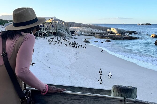 Full Day Cape Peninsula, Bo Kaap & Penguins Small Group Tour - Boulders Beach brings you to African Penguins