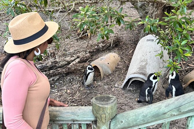 Full Day Cape Peninsula, Bo Kaap & Penguins Small Group Tour - Cape Point deserves the longest stop