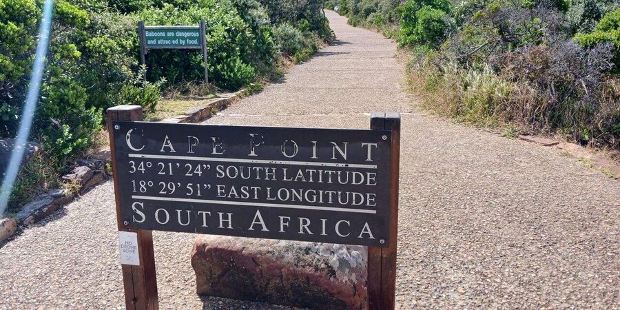 Full Day - Cape Point and Penguins Plus Table Mountain - Muizenberg adds a final splash of color