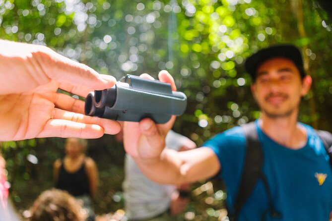 Full-Day Hakalau Forest Reserve Bird Watching Adventure - Why Hakalau Forest is worth a full day