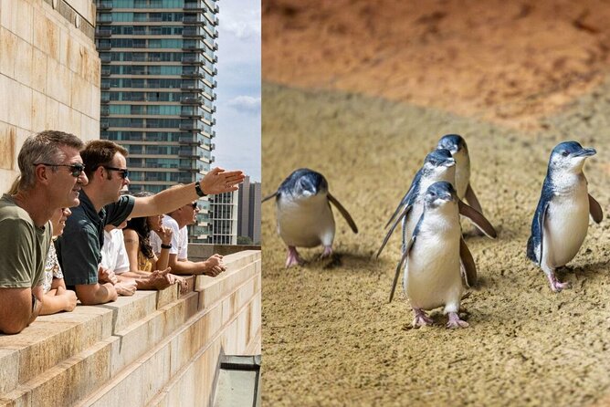 Full-day Melbourne City Sightseeing with Penguin Parade - Key points before you book