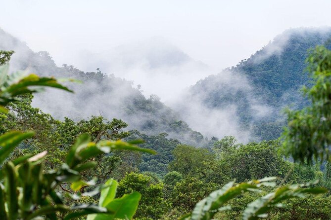 Full-Day Mindo Cloud Forest Tour Birdwatching Waterfalls and Hike - Key points at a glance