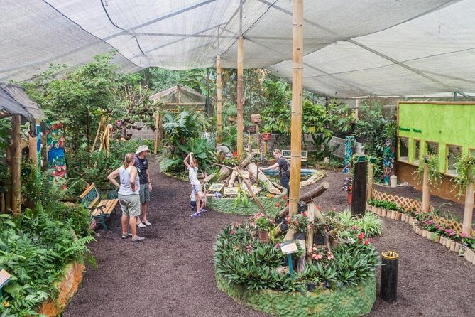Full-Day Mindo Cloud Forest Tour Birdwatching Waterfalls and Hike - The Nambillo cable car and waterfall trail