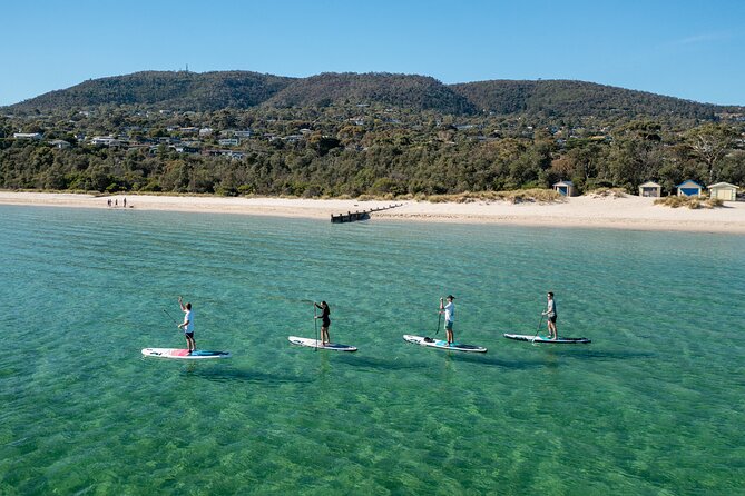 Full-Day Penguins and Wildlife Nature Experience from Melbourne - The Nobbies boardwalk and Bass Strait views